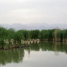ܶ