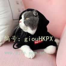 Χ
